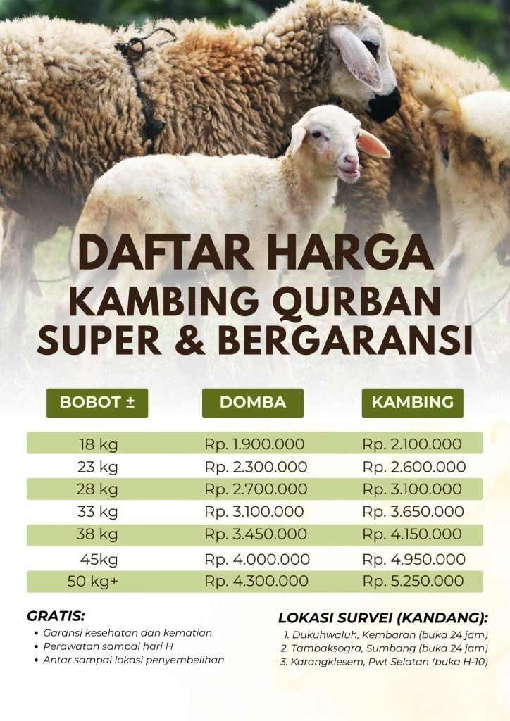 Harga Kambing Kurban Purwokerto Terbaru