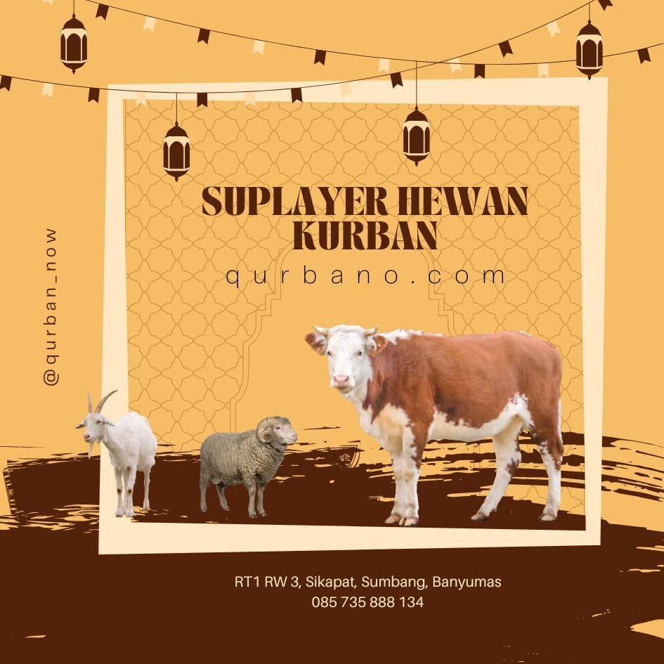 hewan kurban