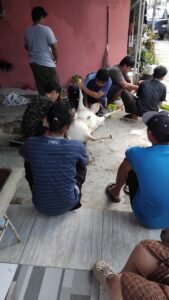 Jasa Potong Kambing Qurban
