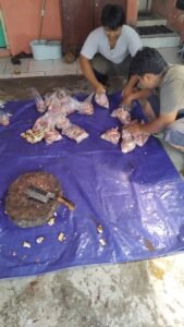 Jasa Potong Kambing Kurban